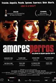 Amores Perros (2000) ความรักหมาๆ