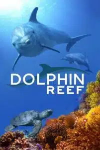 Dolphin Reef (2020) Disney+ อัศจรรย์ชีวิตของโลมา