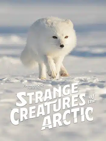 Strange Creatures of the Arctic (2022)