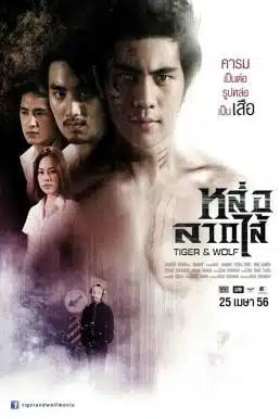 Tiger and Wolf (2013) หล่อลากไส้